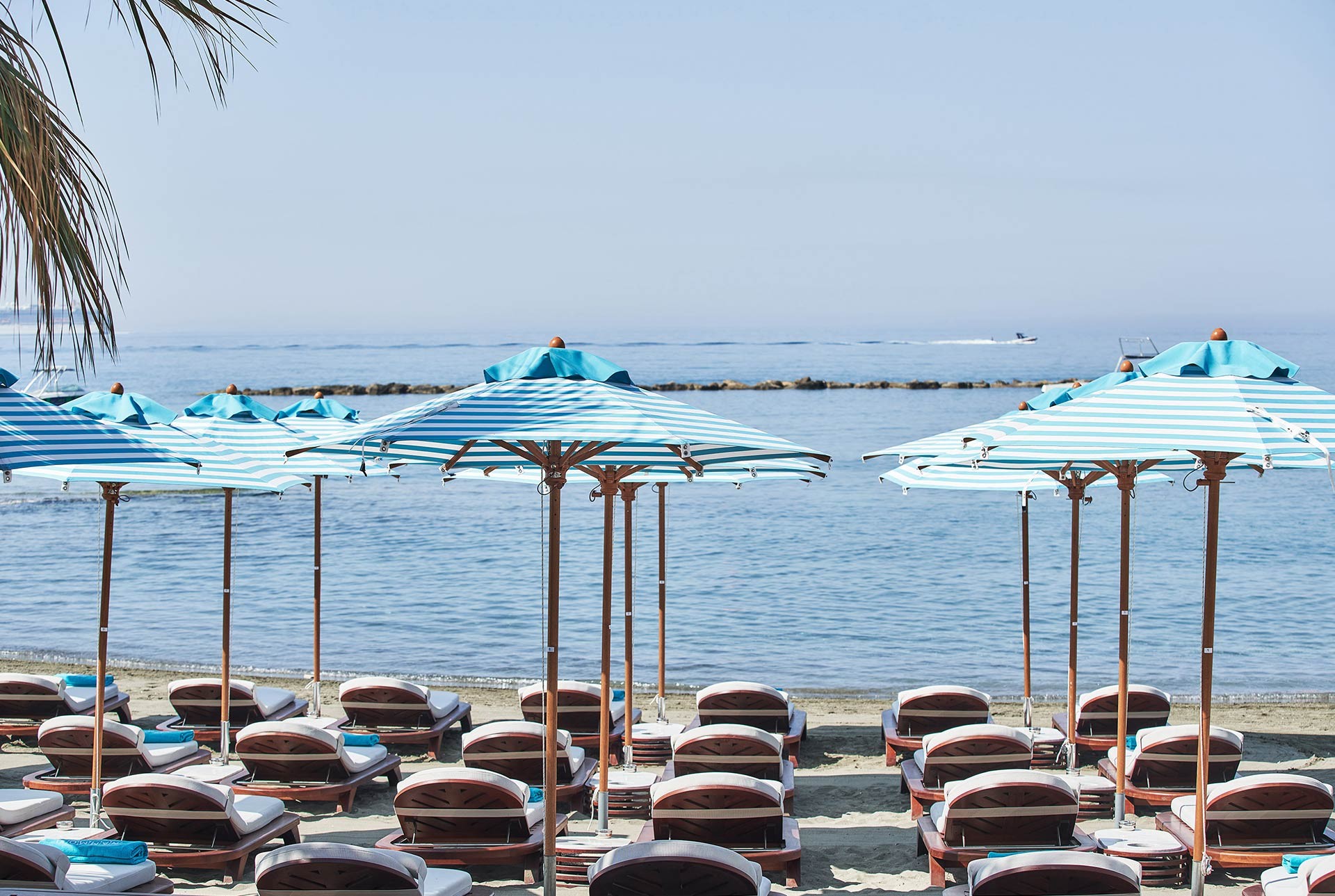 NAMMOS Limassol
